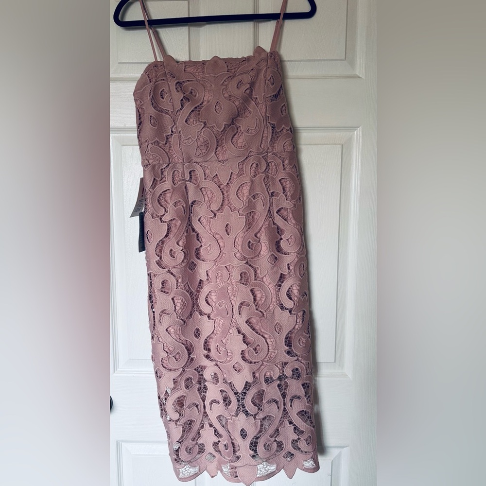 Bardot Lace Midi Dress in Blush Pink
